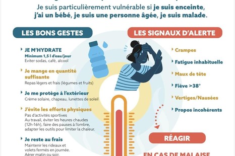 CANICULE - Adoptez les bons gestes