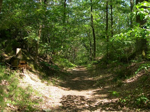 Forêt de Rambouillet