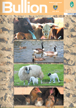 Bulletin N°105 Image 1